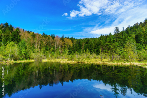 Beautiful colorful summer morning on river or lake. Cloudy blue sky, pine tree forest. Lonely calm mood meditative nature concept. Copy space, horizontal wallpaper. HDR effect. Scenic background.