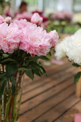 Rosy peonies bunch