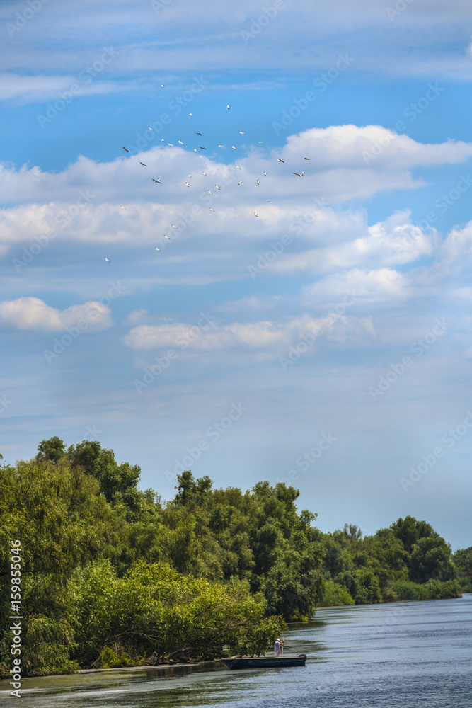 Obraz premium Landscape with water and vegetation in the Danube Delta, Romania