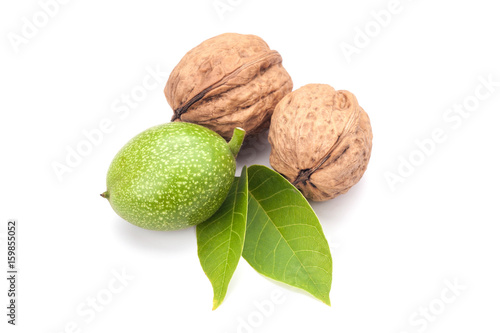 Young and old walnuts