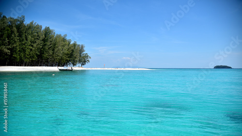 Koh Lipe Thailand © pupae