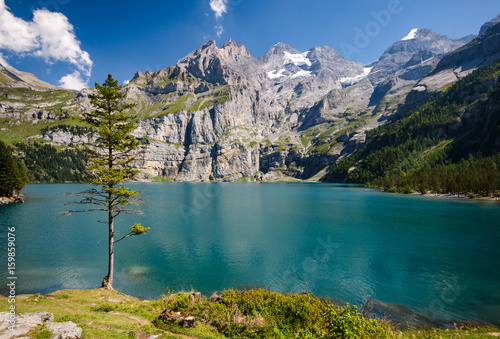 Blick auf Oeschinensee mit Baum im Vordergrund photo