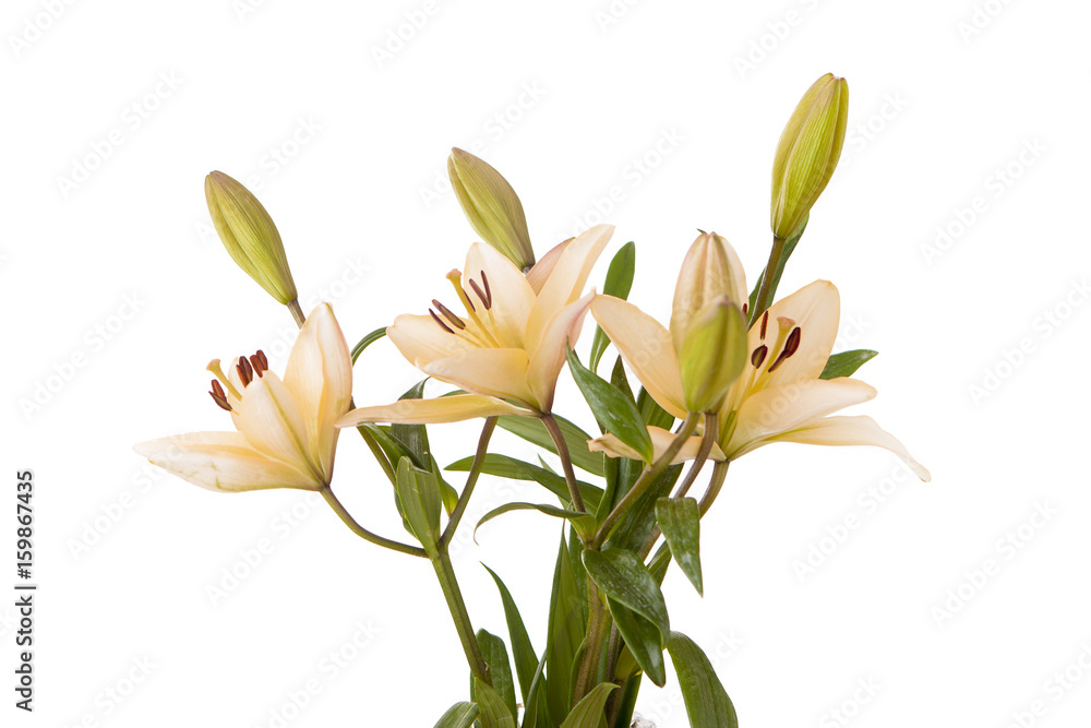 Fototapeta premium Bouquet of yellow lilies.