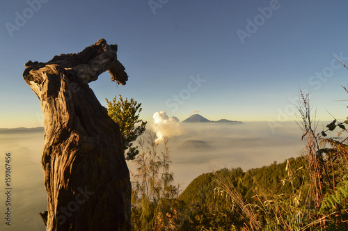 Beauty of bromo mountain indonesia © iim