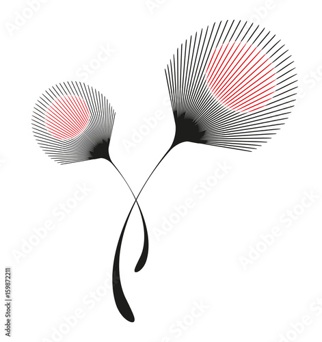isolated stylized feathers patterns in black and red