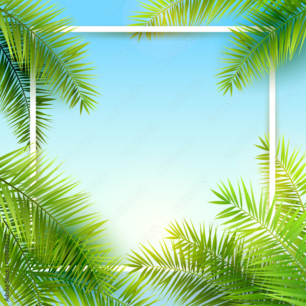 Obraz premium Summer time background