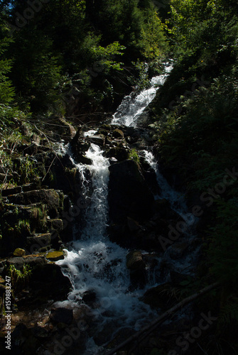 Torrent ruisseau