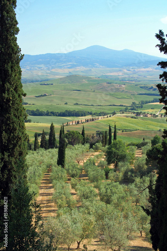 Obraz na płótnie Ausblick auf das Val d’Orcia in der Toskana w salonie