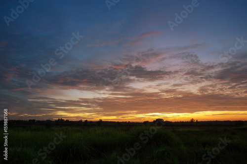 Beautiful sky near the sunset © tong2530