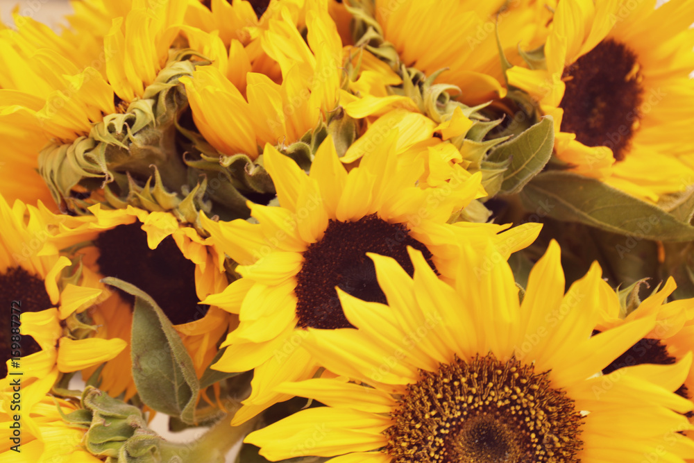 Naklejka premium Beautiful bouquet of sunflowers