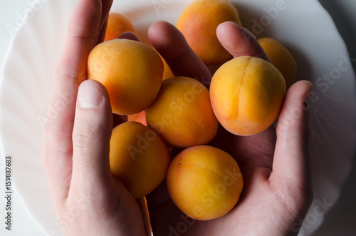 Hands Holding Multiple Apricots over White Plate