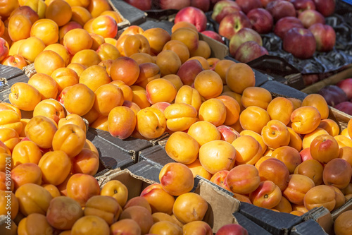 Aprikosen auf einem Markt in Frankreich