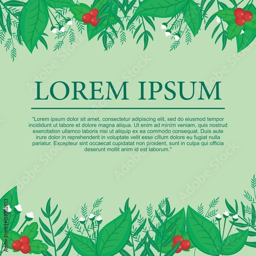 Botanical/Plat Background