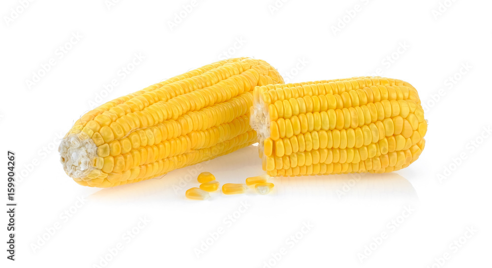 corn on white background