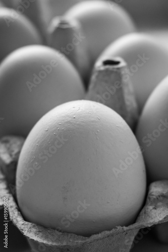 Eggs