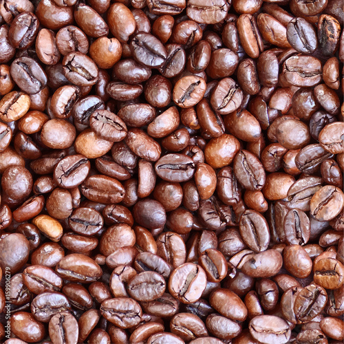 Seamless coffee beans background. Vector EPS 10 illustration.