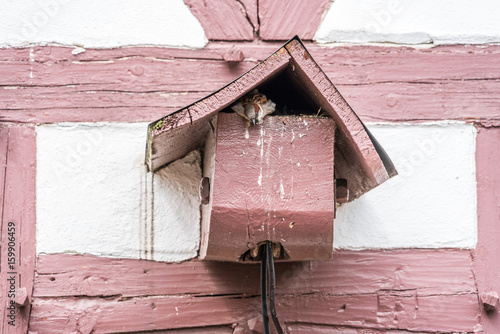 Vogelhaus beherbergt Spatz an der Fassade eines alten Fachwerkhauses photo