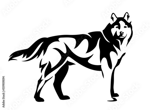 standing husky dog side view black and white vector design © Cattallina