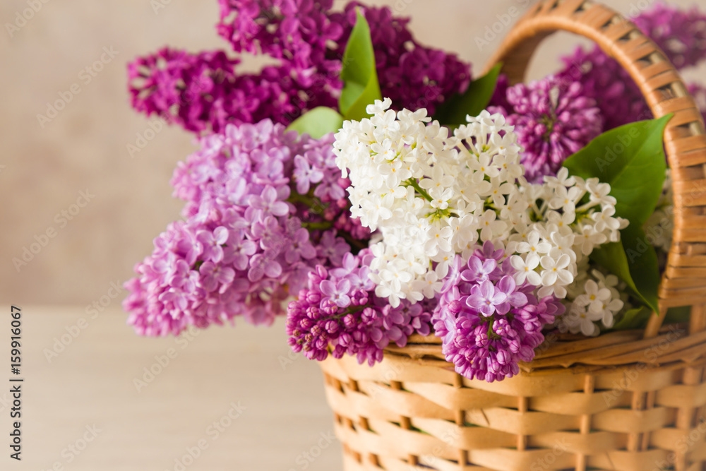 Beautiful, purple, pink and white lilac flowers in the basket. Cozy atmosphere with fresh, fragrant flowers.