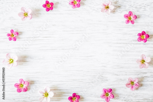 Circle of pink and white flowers on the wooden background. Greeting card.