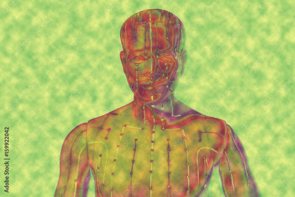 Medical acupuncture model of human on yellow background