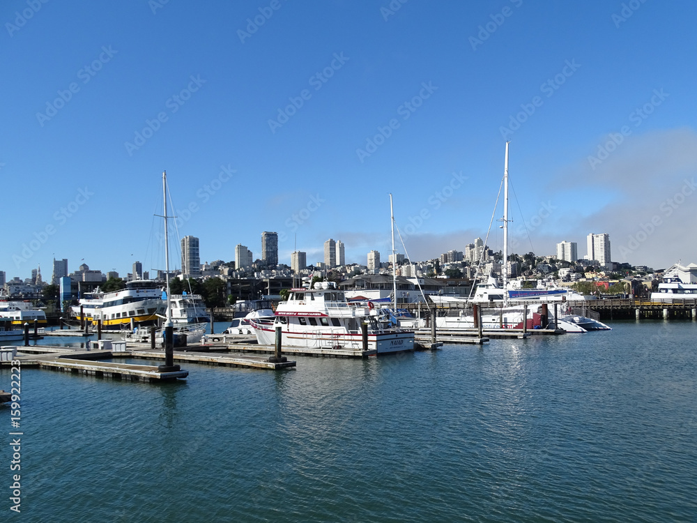 View from San Francisco Bay
