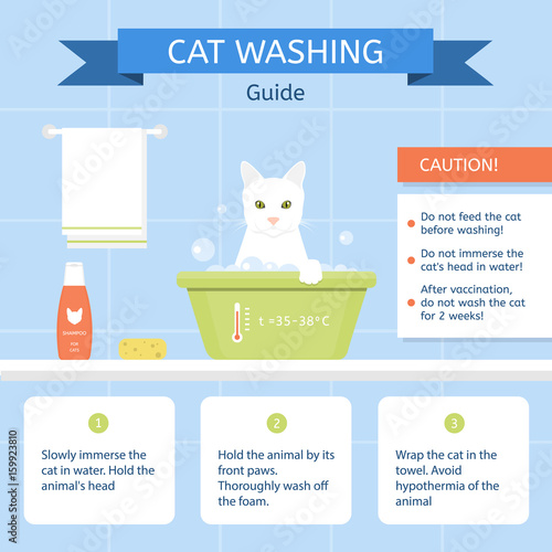 A cat sits in a washbowl on the blue background. Instructions for cleaning animals. Infographics. Vector illustration