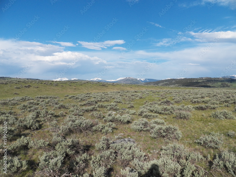 Fototapeta premium The Plains