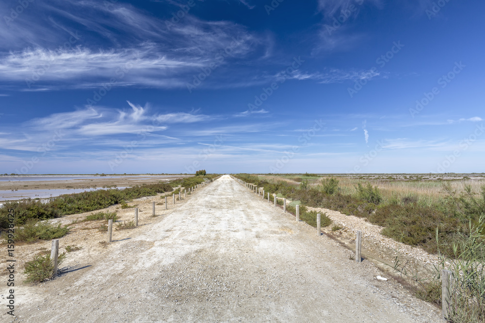 Typische Landschaft in der südlichen Camargue, Südfrankreich Typische Landschaft in der südlichen Camargue, Südfrankreich
