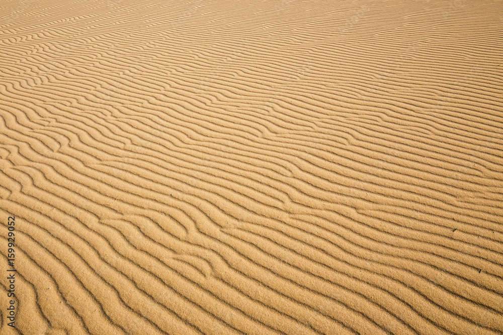 Lines in the sand of a beach, close up Lines in the sand of a beach, close up