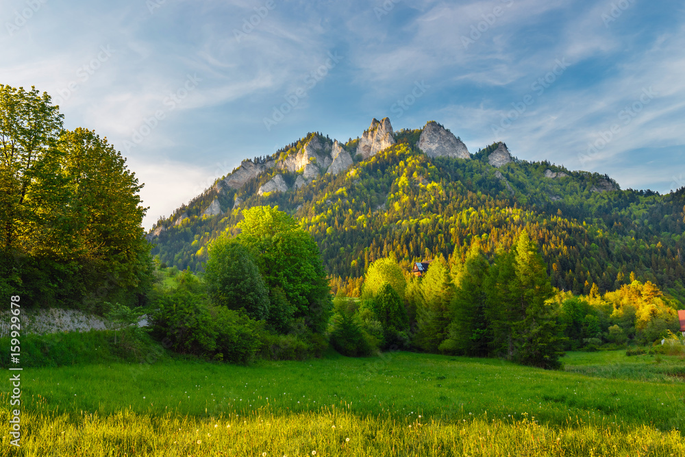 Spring in the Pieniny with Three Crowns mountain in the background