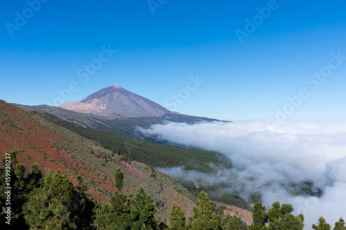 Volcan El Teide  Tenerife  Canaries