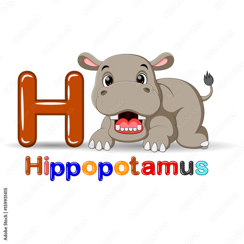 Animals alphabet: H is for Hippo Animals alphabet: H is for Hippo