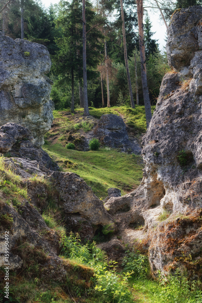 Wental (Wen Valley) Felsenmeer in the Swabian Alb, Baden-Württemberg, Germany
