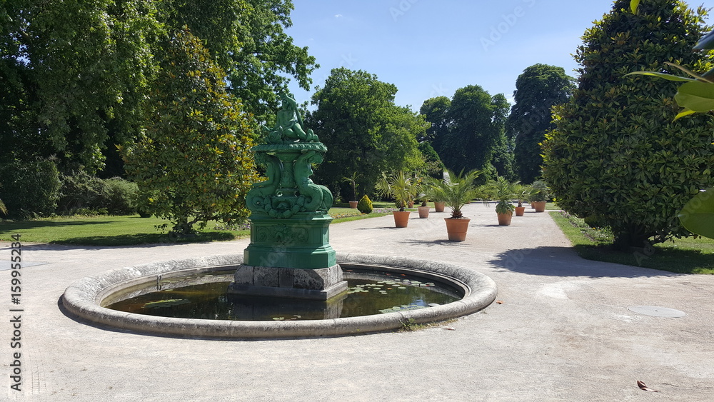 jardin fleurie jardin fleurie