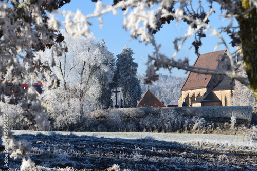 Bäume mit Eiskristallen und Gebäude