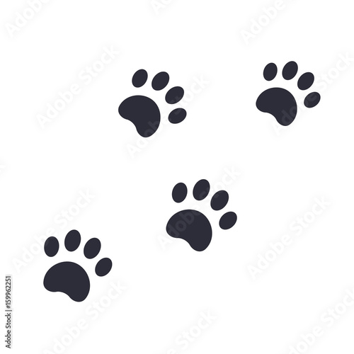 paw footprints vector illustration