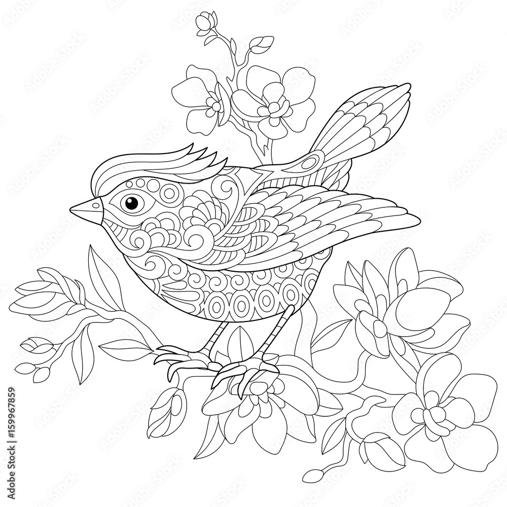 Naklejka premium Coloring book page of sparrow bird sitting on apple blossoming tree branch. Freehand sketch drawing for adult antistress colouring with doodle and zentangle elements.