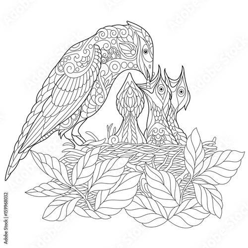 Coloring book page of jay bird feeding its newborn nestlings. Freehand sketch drawing for adult antistress colouring with doodle and zentangle elements.