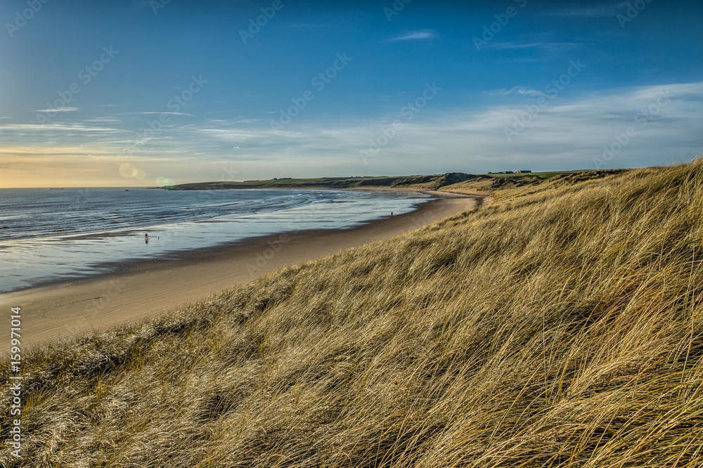 Cruden Bay dunes grass and beach.