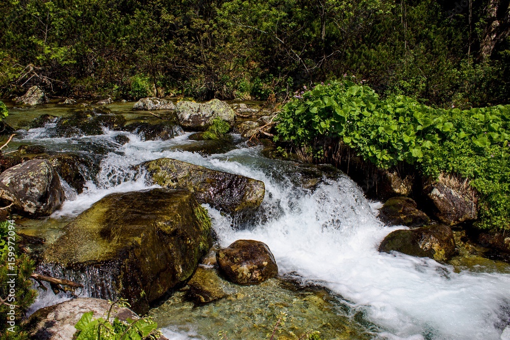 Obraz premium Green flume 2017