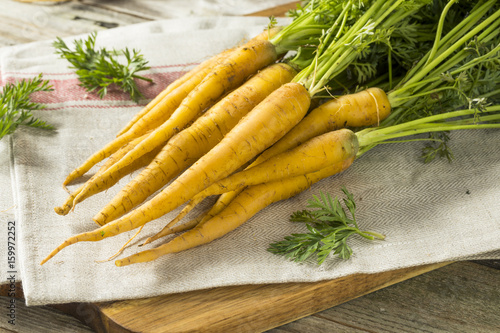 Organic Bunch of Yellow Carrots