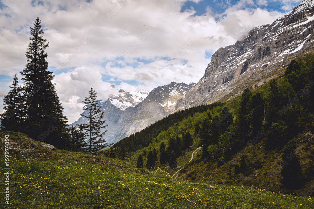 Beautiful panoramic view of Swiss Alps, Switzerland