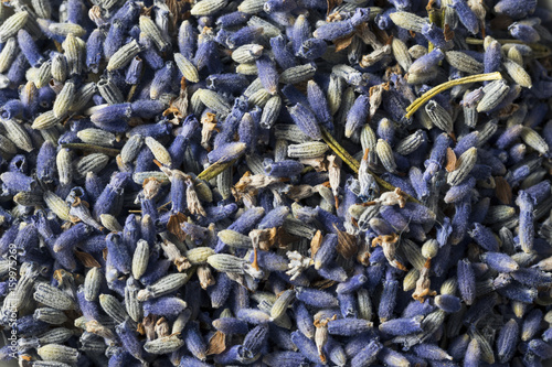 Raw Organic Dry Purple Lavender Spice