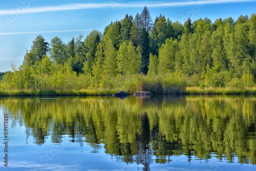 Landscape with trees, reflecting in the water