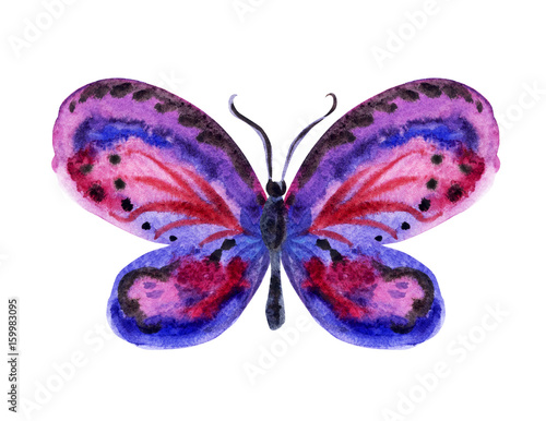 Blue-purple butterfly, watercolor painting on white background. © Ollga P