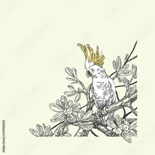 Beautiful tropical background with a parrot. Cockatoo sitting on the branches of a tree. Vintage style. Vector illustration.