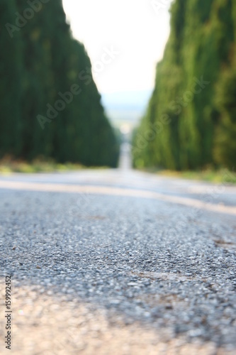 Wallpaper Mural stony street Torontodigital.ca