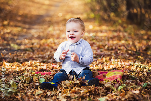 Little boy playing in autumn leaves