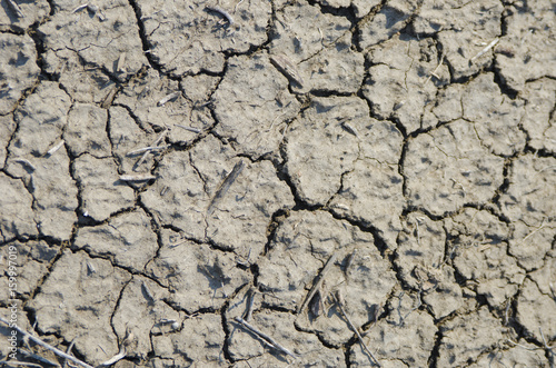 Signs of Lengthy Drought